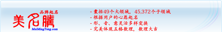 49個大領域，45,372個子領域；根據用戶的心愿起名；形，音，意靈活變換；完美體現五格數理