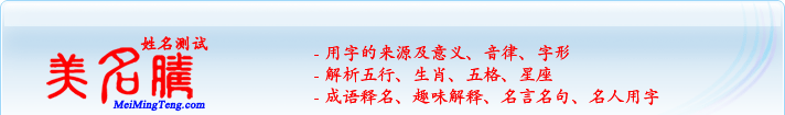 用字的來源及意義、音律、字形；五行、生肖、五格、星座；成語釋名、趣味解釋、名言名句、名人用字