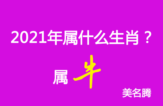 2021年屬什么生肖？2021年屬牛